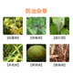 Guoguang Xiugong 1.2% cinnamon acetate peach tree cinnamon gum disease black leg rot pesticide fungicide