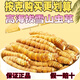 Authentische tibetische Gegend naqu großes gebrochenes Gras frisch cordyceps sinensis gebrochenes gras cordycep