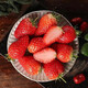 Jingmi Dandong Strawberry 99 Beauty Cream Fruit Gift Box Fresh Fresh Net Weight 2Jin Jin is equal to 0.5kg, single fruit 30g + straight from the source
