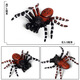 Simulated rubber spider Halloween prank toys Simulated spider poisonous spider insect animal model children's toys Ox-684 Brazilian red velvet spider 0.009KG