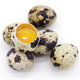 Du Fengnian Easter Eggs for Blessing, Antibiotic-Free Quail Eggs 24 pieces 220g Du Fengnian Easter Eggs for Blessing, Antibiotic-Free Quail Eggs 24 pieces 220g