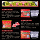 王光山东特产菏泽曹县王光烧牛肉清真牛肉卤牛肉速食代餐健身牛肉礼盒 838克礼盒(一箱4袋)有脆笋