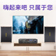 HYUNDAI modern 6.5-inch home theater KTV audio combination home Bluetooth amplifier karaoke conference audio home karaoke computer TV living room audio