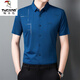 Woodpecker Ice Silk Quick-Drying Shirt Men's Summer Thin Short-Sleeve Inch Shirt Middle-aged Business Casual Top No-Seamless Half-Sleeve Shirt Short-Sleeve D462 Gray 175/XL Recommended 135-150Jin [Jin equals 0.5 kg]