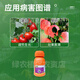 10% benzylaminopurine triacontanol benzylaminopurine triacontanol rice wheat tomato vegetable growth regulator 100g