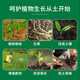 Devodo loosening essence soil loosening agent 100g*2 improves water retention and regulates acid-base flower soil potted anti-hardening activator