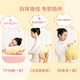 名创优品（MINISO）dundun鸡毛绒公仔墩墩鸡玩偶抱枕毛绒玩具生日礼物女 加大号42cm