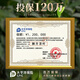 West Lake Shijing 2025 New Tea Mingqian Special West Lake Longjing Tea Gift Box 200g Regalos de té verde para ancianos Líder Padre
