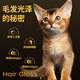 力狼力狼猫粮 幼猫奶糕宠物天然粮全价全猫种通用 鲜肉配方-幼猫专用2.5kg