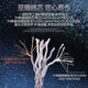 雅高聆（ACROLINK） 榭兰图4.4平衡线N5005索尼n3ap舒尔846mmcx耳机升级线材 索尼XBA-H2/H3/Z5/300AP 2.5平衡弯头