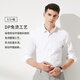 
Shanshan [140 pure cotton DP free iron] long-sleeved shirt men's anti-wrinkle business light luxury four seasons casual formal shirt