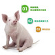 Animal and animal husbandry Taibao veterinary mold removal agent for pigs, chickens, cattle and sheep to prevent mold and remove mold feed additives for pregnant animals 5 bags