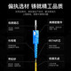 Shengwei (Shengwei) Fiber Optic Jumper Sc-Sc Mode monomoteur Single Core Réseau intérieur Intérieur Télécommunications Pignail Télécommunications Shengwei Optical Spindle Jumper 1 mètre [FSC-1011] 10 mètres Mode unique à core [FSC-501]