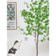 Flower e-flow simulation hanging bell tree horse drunken wood plant clothing store bionic fake green plant decoration potted indoor living room floor-standing ornaments 1.8m multi-pole + white cement basin