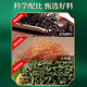 Beijing Tongrentang Corn Scarf Tea Green Money Willow Corn Scarf Mulberry Leaf Tea can be matched with Chrysanthemum Cassia Tea Pueraria Root Lotus Hawthorn 2 boxes discounted package