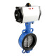 Cloud Cloud Pneumatique Valve de papillons D671X-16Q Vanne de serrage en acier inoxydable DN50 65 80 100 150 250 300 Plaque ductile DN150
