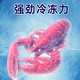 北极川钛灰商用大容量卧式冰柜低温冷冻柜超市食品冷藏柜节能电子温控商用冷柜雪糕冰箱展示柜 长1.45米合金内胆-智能单温688钛灰