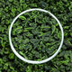 Té Heyun Tieguanyin 2025 Nuevo té té té tieguanyin fragancia fragancia de té de té oolong