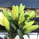Jimmy Deer rare orange lily flowers, 10 orange lilies + get 2 free, fresh cut bouquets from Yunnan base sent directly from the source