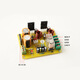 SK18752 Beautiful Sound Aslifier Board Hot Grade Hot Grade Board Старый динамик DIY Артефакт PK Classic LM1875 3886