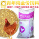 Zhengda Chicken Feed 323 Laying Hens Young Chickens Medium Chickens Half Large Native Chickens Reserve Eggs Breeding Chicken Food Peacock Young Chickens Full Price Powder 20Jin Jin is equal to 0.5kg 7 to 16 weeks old