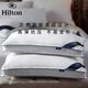 Kangerxin [Hilton Pillow] Antibakterielles Faserkissen, erwachsenes Haushaltsweichkissen, Fünf-Sterne-Hotelkissen Kern, weiße [Hilton-Geschenkbox] Hartes Kissen, Single, ein Paar, zwei
