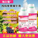 Fruits, vegetables and fruit trees universal pollinator essence, fruit-setting essence, anti-falling factor, foliar fertilizer, pollinator essence, flower-preserving and fruit-preserving factor, pollinating essence, fruit-setting essence 1000g*12