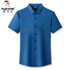 Woodpecker Ice Silk Quick-Drying Shirt Men's Summer Thin Short-Sleeve Inch Shirt Middle-aged Business Casual Top No-Seamless Half-Sleeve Shirt Short-Sleeve D462 Gray 175/XL Recommended 135-150Jin [Jin equals 0.5 kg]