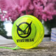 Crane Palace 2a Yo-Yo Blitzball Lightning Ball gespielt Kinder Live-Schlaf Yoyo Yo-Yo Fluoreszenzgelb-schwarz (10 Seile geben) 2A-Version [Recycling ist empfindlich und für 2A-Kreisverkehr geeignet