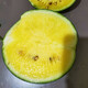 Farmer's Son Extra Sweet Xiaofeng Yellow Heart Watermelon Seeds Gift Crisp Sweet Yellow Soil Orchid Hanger Yellow Flesh Watermelon Seeds Yellow Flesh Xiaofeng Watermelon Seeds 10 capsules 3 packs
