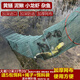 Jingpin fish and shrimp net cage, ground net cage, lobster net, ground dragon fish net cage, fishing net, fishing net cage, shrimp cage, eel cage, turtle cage, 3.4 meters, 17 sections, 10 doors + gifts (delivered today)