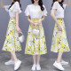 
Pure skirt summer chiffon dress 2023 summer new women's clothing temperament French slimming waist-hugging suit trend 9767 blue L