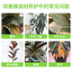 Shangyang rubber tree plant nutrient solution 500ml gardening flower potted flower fertilizer hydroponic planting organic fertilizer foliar fertilizer