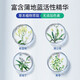 蒲地蓝强健牙膏套装 牙龈护理清洁牙齿健康清新口气草本功效成人牙膏 薄荷*2+留兰*2/ 120g*4支 共480g