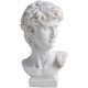 ZSTO David head plaster sculpture ornaments Nordic ins style sketch mini small plaster statue creative desktop decoration David medium size 15CM