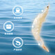 Shandong Shopee Dried Seafood Dried Seafood Dried Seafood Soup Porridge Cold Salad 500g