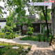 
New live background video live room anchor landscape pastoral outdoor scene Kuaishou Douyin Internet celebrity background cloth 11149 width 2.5 meters high 2.5 meters