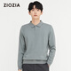 Ziozia [unter Jiumuwang] Herbst Herren Polo Neck -Pullover gestrickt