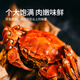 
[Gift coupon] Hufengyang Chenghu Hairy Crab Card Festival Gift Fresh Gift Box Collection Gift Card Type 698 (Male 3.0 liang, Female 2.5 liang, 4 pairs, 8 pieces)