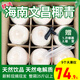 Xianyouji Hainan Wenchang Coconut Green Large Fruit Fresh Coconut Pregnant Women Coconut Picked Now Delivery Coconut Opener and Straw 4 pieces with coconut opener and straws (single fruit 900g+