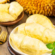 Jingxiansheng Malaysian D197 Musang King Durian 2,5-3Jin Jin entspricht 0,5 kg flüssigem Stickstoff, gefrorenem frischem Obst