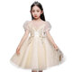 Disney Kinderkleid Prinzessin Rock Sommer Blume Kinder Hochzeit geschwollener Rock Rock Rock Little Girl Host Piano Performance Kleidung DK683 Mesh Sleeve Pink Abonnement mit Crown 120 cm 30-40jin [Jin gleich 0,5 kg]