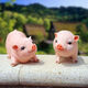 Han Chang Garden Decoration Garden Ornaments Creative Gifts Piggy Model Resin Crafts Animal Simulation Pig Ornaments Station Black Pig Pair