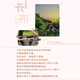 Jeep吉普公路自行车低跨度女式平把骑行变速成人男女学生代步车-卡布 卡布-樱花粉 700C（适合身高150-175CM) 27速