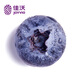 JOYVIO Yunnan Blueberry Sweet Floral Series 14mm+ 4 boxes gift box about 125g/box fresh fruit