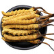Cordyceps gift box with authentic Cordyceps 10g pack 50 high-altitude genuine Cordyceps dry goods Cordyceps gift box with authentic Tibetan area 2 1g big Cordyceps authentic Cordyceps 20g pack