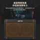 JOYO Guitar Singing Speaker AC40S Outdoor Roadshow Indoor Live Broadcast Internal Recording of Karaoke Charging Bluetooth Speaker AC-40S+JW-03 Musical Instrument Wireless Connector