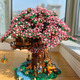 Лан Лиан совместим с Lego Drain Drail House Sakura House Rainbow Girl Series Series Строительные блоки игрушки для девочек с большой сложностью Акриловая версия Suzhou Garden 4877 штуки / Включены