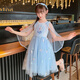 
Anneyol Snow White Skirt Frozen Girls Summer Dress Medium-Grand Children's Baby Spring and Autumn Puffy Gown Skirt A841 Blue 130