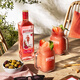 Gin gin gin gin gin gin gin uk london londres sabor de vino de londres 700ml